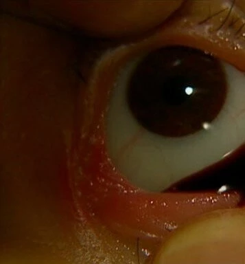 Подопытная свинка: Эксперимент дьявола (1985) через торрент скачать Подопытная свинка: Эксперимент дьявола (1985) фильм через торрент скачать