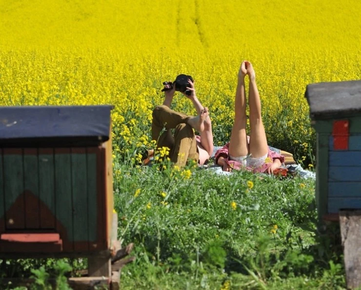 Афоня и пчелы (2009) через торрент скачать Афоня и пчелы (2009) фильм через торрент скачать