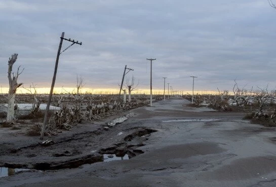 Человек разумный (2016) через торрент скачать Человек разумный (2016) фильм через торрент скачать