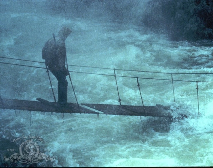 Золотой тюлень (1983) через торрент бесплатно Золотой тюлень (1983) фильм через торрент бесплатно