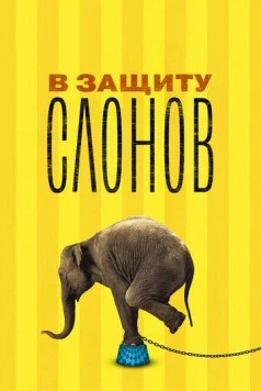 В защиту слонов / An Apology to Elephants (2013) фильм скачать через торрент в хорошем качестве