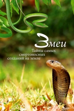 Змеи. Тайны самых смертоносных созданий на земле / Snakes, Secrets of Nature’s Deadliest Creatures (2014) фильм скачать через торрент в хорошем качестве