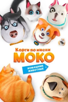 Корги по имени Моко. Домашние животные / Flying MOCO - Pet House (2019) мультфильм скачать через торрент в хорошем качестве