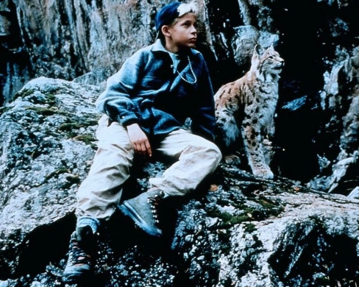 Томми и Кыся (1998) через торрент бесплатно Томми и Кыся (1998) фильм через торрент бесплатно