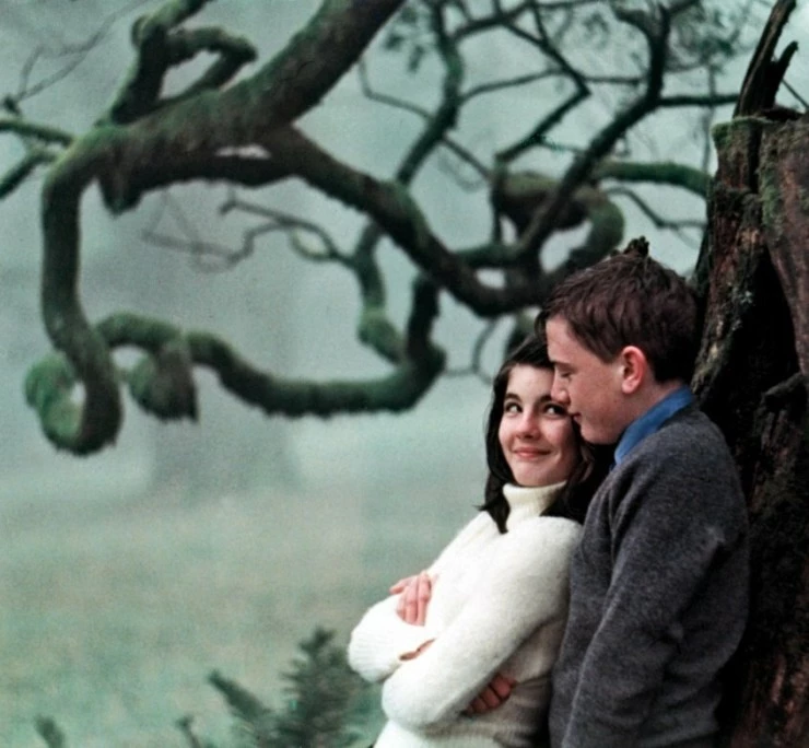 Прибежище Дьявола (1976) через торрент скачать Прибежище Дьявола (1976) фильм через торрент скачать