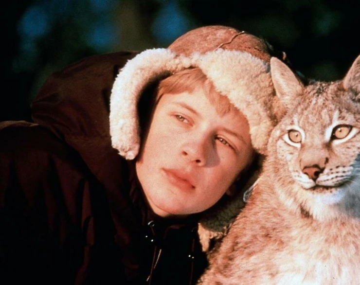 Томми и Кыся (1998) в хорошем качестве через торрент Томми и Кыся (1998) фильм в хорошем качестве через торрент