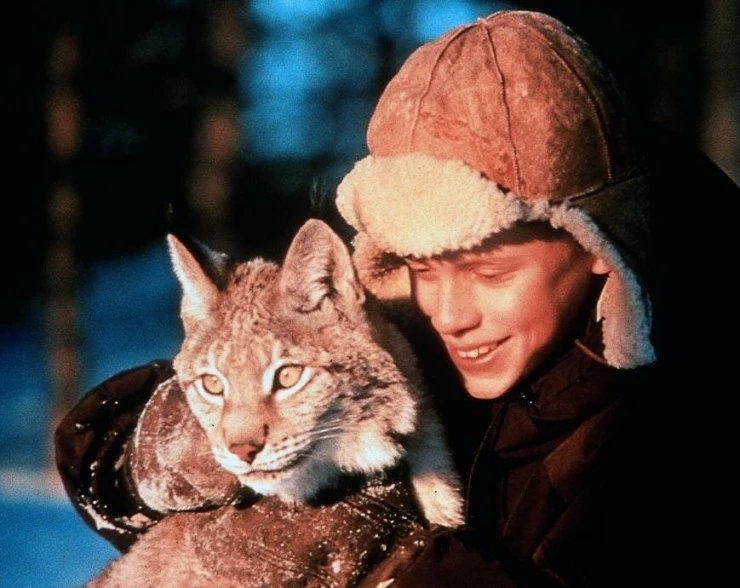 Томми и Кыся (1998) через торрент скачать Томми и Кыся (1998) фильм через торрент скачать