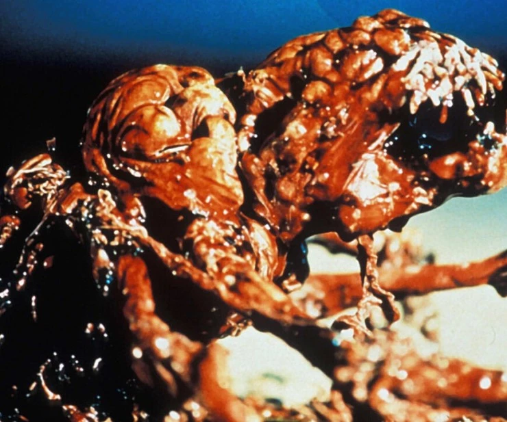 Извне (1986) через торрент скачать Извне (1986) фильм через торрент скачать