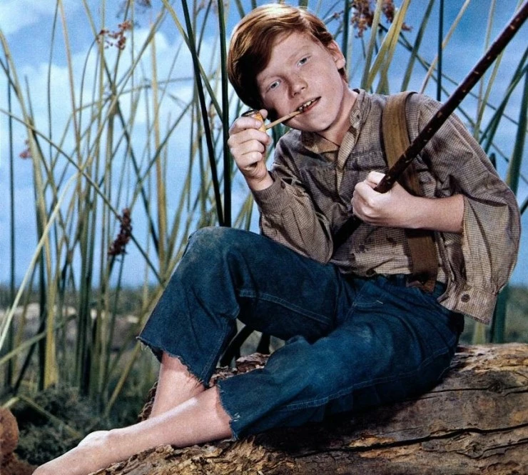 Приключения Гекльберри Финна (1960) в хорошем качестве через торрент Приключения Гекльберри Финна (1960) фильм в хорошем качестве через торрент