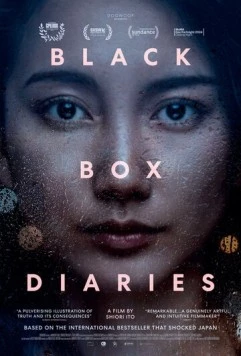 Дневники чёрного ящика / Black Box Diaries (2024) фильм скачать через торрент в хорошем качестве