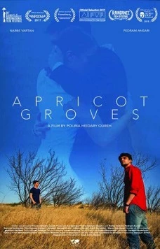 Абрикосовые рощи / Apricot Groves (2016) фильм скачать через торрент в хорошем качестве