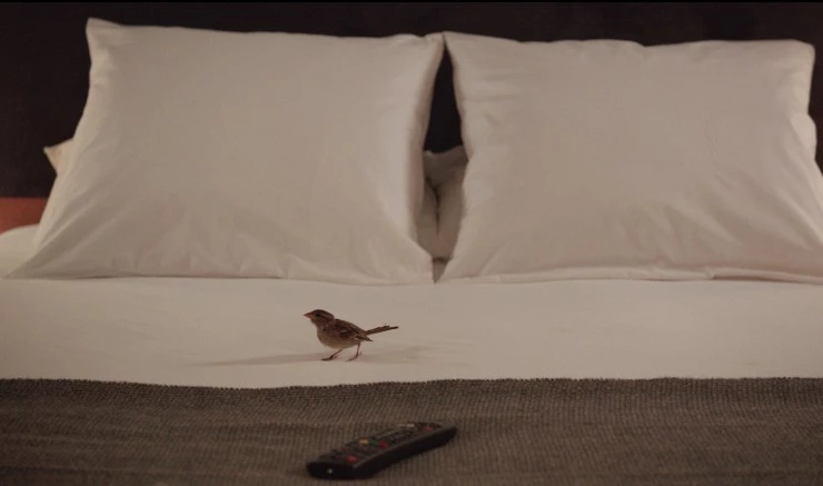 Люди и птицы (2014) через торрент бесплатно Люди и птицы (2014) фильм через торрент бесплатно