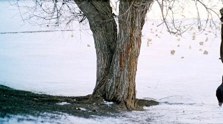 Полумесяц (2006) через торрент бесплатно Полумесяц (2006) фильм через торрент бесплатно