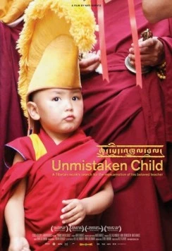 Избранный / Unmistaken Child (2008) фильм скачать через торрент в хорошем качестве
