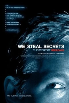 Мы крадем секреты: История WikiLeaks / We Steal Secrets: The Story of WikiLeaks (2013) фильм скачать через торрент в хорошем качестве