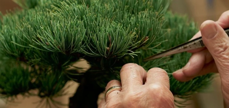 Больше света (2023) через торрент бесплатно Больше света (2023) фильм через торрент бесплатно