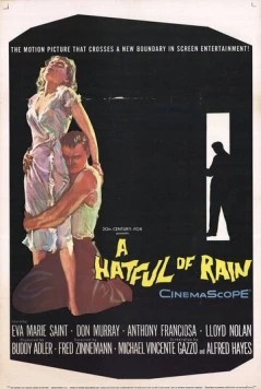 Шляпа, полная дождя / A Hatful of Rain (1957) фильм скачать через торрент в хорошем качестве