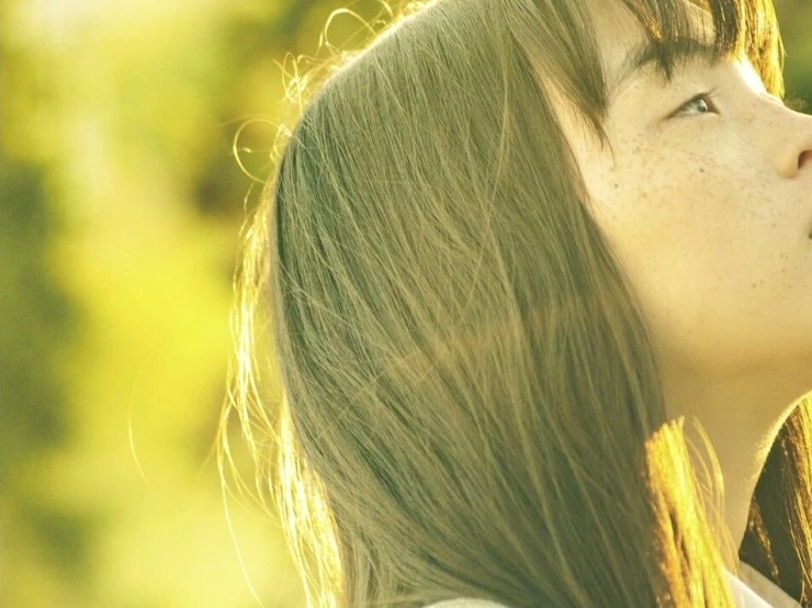 Телефон ветра (2020) через торрент скачать Телефон ветра (2020) фильм через торрент скачать