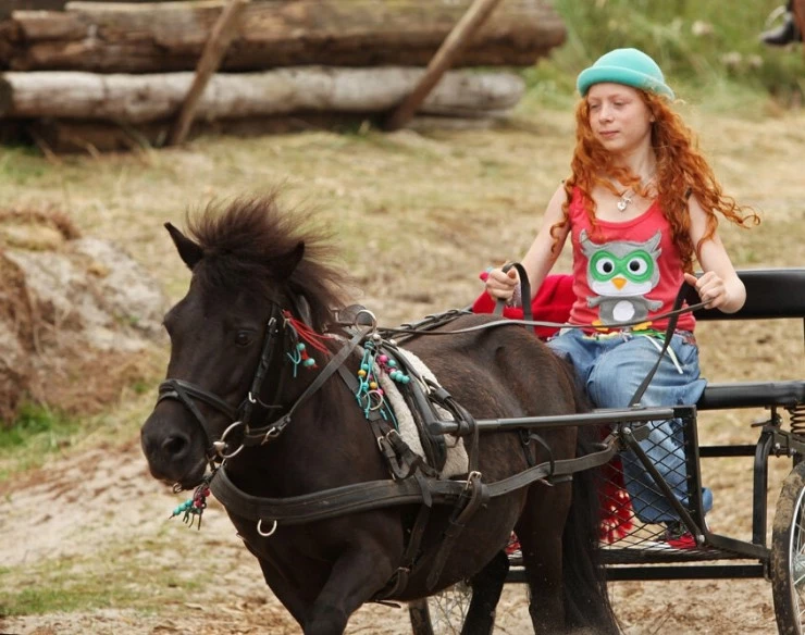 Постоянный спутник Пенни (2011) в хорошем качестве через торрент Постоянный спутник Пенни (2011) фильм в хорошем качестве через торрент