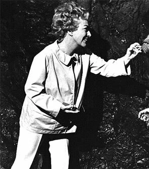 Трог (1970) через торрент скачать Трог (1970) фильм через торрент скачать