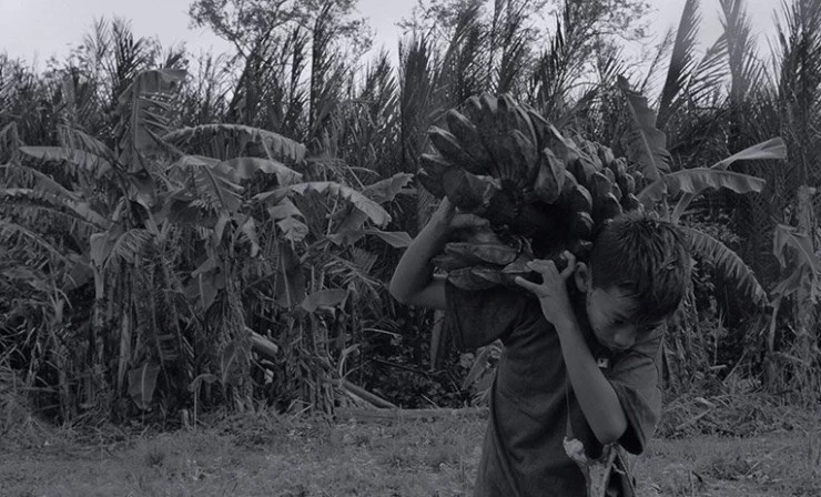 От предшествующего (2014) через торрент бесплатно От предшествующего (2014) фильм через торрент бесплатно