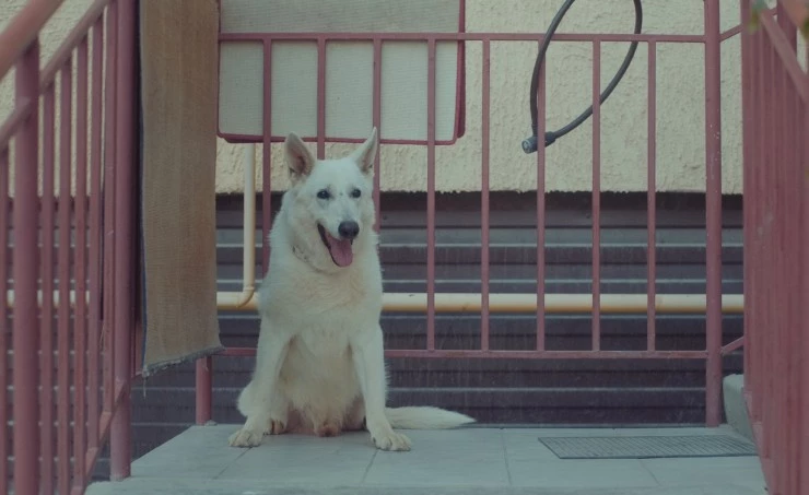 Меня зовут Любовь (2024) через торрент бесплатно Меня зовут Любовь (2024) фильм через торрент бесплатно