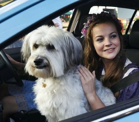 Патси (2014) через торрент бесплатно Патси (2014) фильм через торрент бесплатно