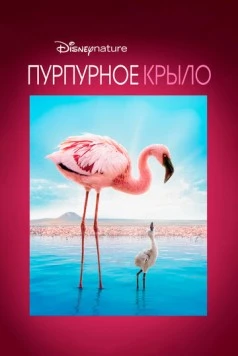 Пурпурное крыло / The Crimson Wing: Mystery of the Flamingos (2008) фильм скачать через торрент в хорошем качестве
