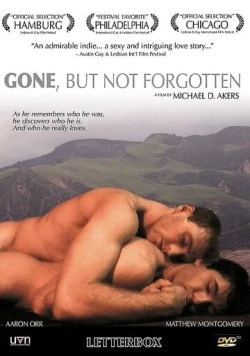 Ушел, но не забыт / Gone, But Not Forgotten (2003) фильм скачать через торрент в хорошем качестве