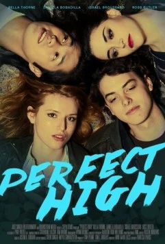 Идеальный кайф / Perfect High (2015) фильм скачать через торрент в хорошем качестве
