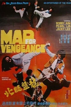 Безумная месть / Mad For Vengeance (1977) фильм скачать через торрент в хорошем качестве