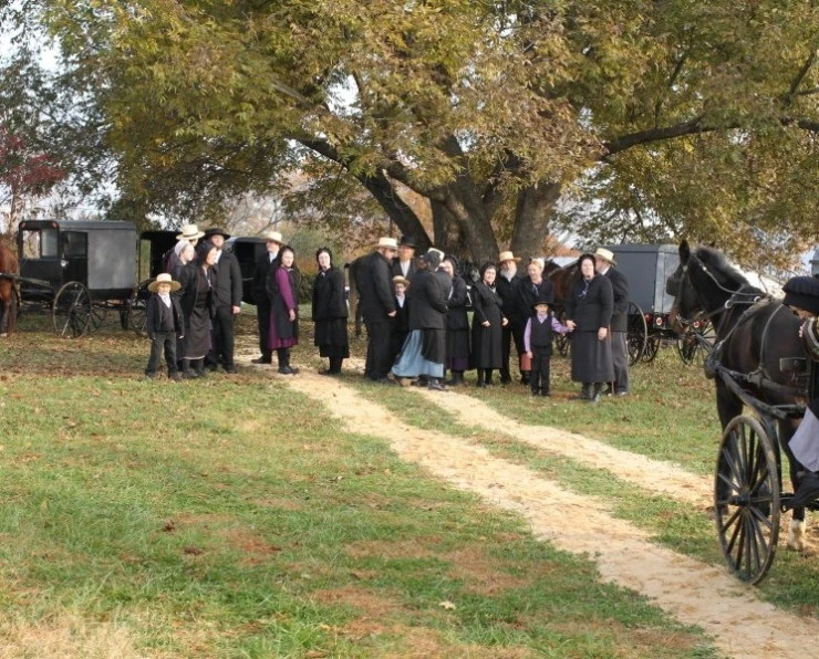 Отлучение (2011) через торрент бесплатно Отлучение (2011) фильм через торрент бесплатно