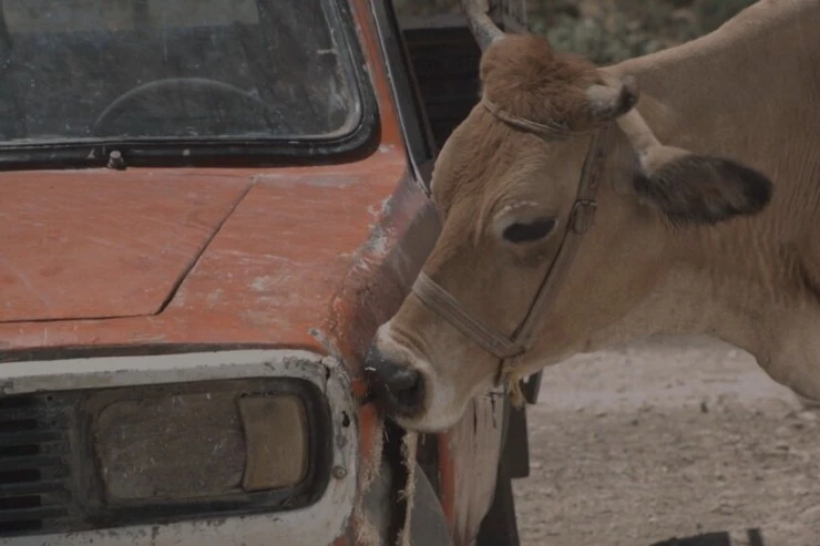 Ай Лав Ю (2010) через торрент скачать Ай Лав Ю (2010) фильм через торрент скачать