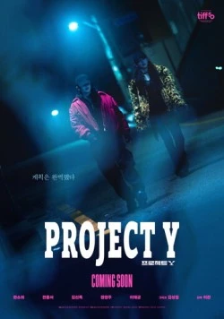 Проект Y / Project Y (2025) фильм скачать через торрент в хорошем качестве