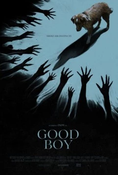 Хороший мальчик / Good Boy (2025) фильм скачать через торрент в хорошем качестве