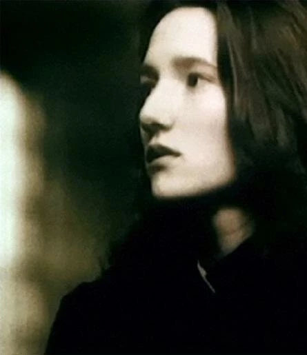 Австрийское поле (1991) через торрент скачать Австрийское поле (1991) фильм через торрент скачать