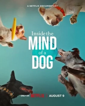 О чем думают собаки / Inside the Mind of a Dog (2024) фильм скачать через торрент в хорошем качестве