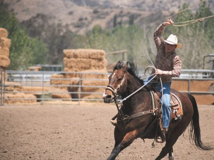 Даллас 362 (2002) в хорошем качестве через торрент Даллас 362 (2002) фильм в хорошем качестве через торрент