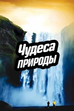 Чудеса природы / Miracles of Nature (2012) фильм скачать через торрент в хорошем качестве