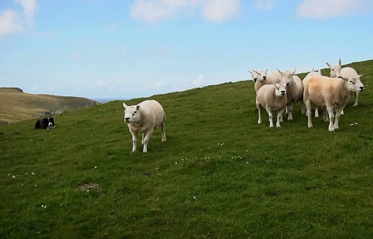 Чудеса природы (2012) в хорошем качестве через торрент Чудеса природы (2012) фильм в хорошем качестве через торрент