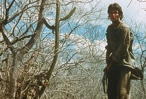 Последнее солнце (2001) в хорошем качестве через торрент Последнее солнце (2001) фильм в хорошем качестве через торрент