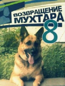 Возвращение Мухтара 8 (2012) сериал скачать через торрент в хорошем качестве