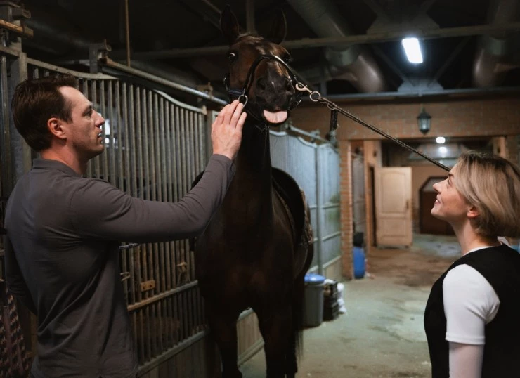 В тени больших чисел 4. Знаки (2025) в хорошем качестве через торрент В тени больших чисел 4. Знаки (2025) фильм в хорошем качестве через торрент