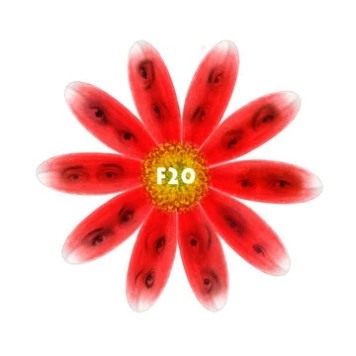 F20 (2011) фильм скачать через торрент в хорошем качестве