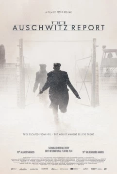 Протокол Освенцима / The Auschwitz Report (2020) фильм скачать через торрент в хорошем качестве