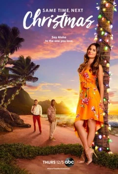 В то же время на следующее Рождество / Same Time, Next Christmas (2019) фильм скачать через торрент в хорошем качестве