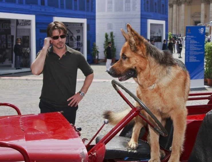 Комиссар Рекс (2008) через торрент скачать Комиссар Рекс (2008) фильм через торрент скачать