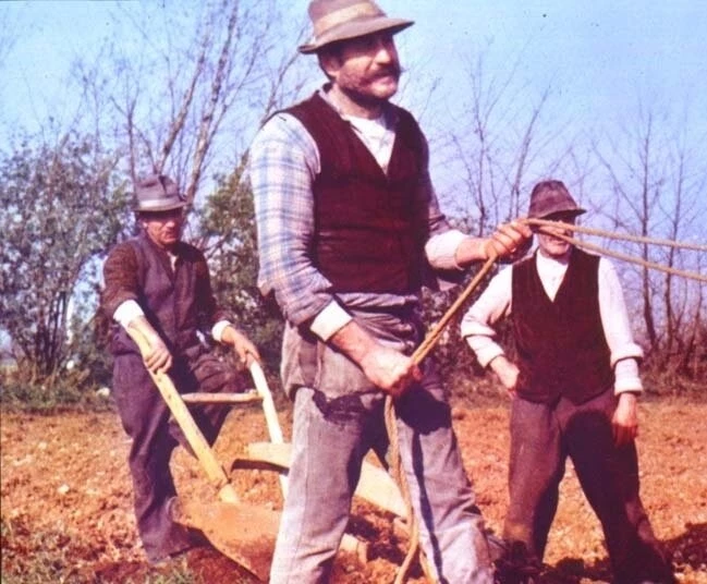 Дерево для башмаков (1978) через торрент бесплатно Дерево для башмаков (1978) фильм через торрент бесплатно