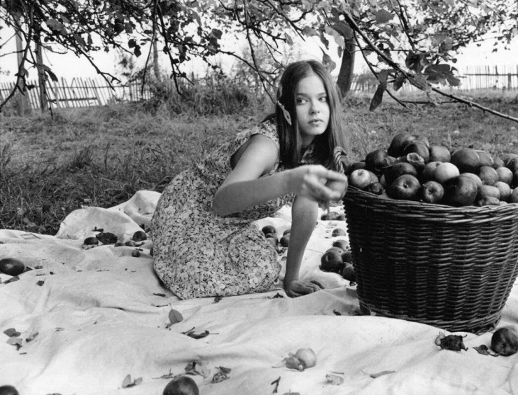 Сад (1995) через торрент бесплатно Сад (1995) фильм через торрент бесплатно