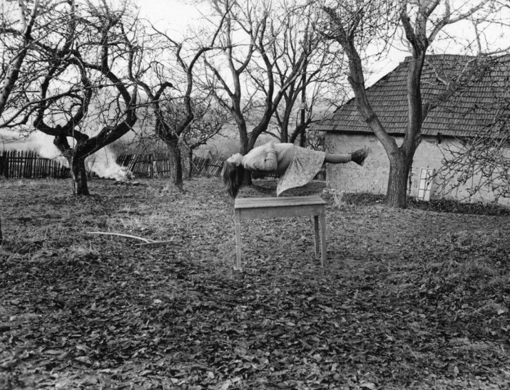 Сад (1995) через торрент скачать Сад (1995) фильм через торрент скачать